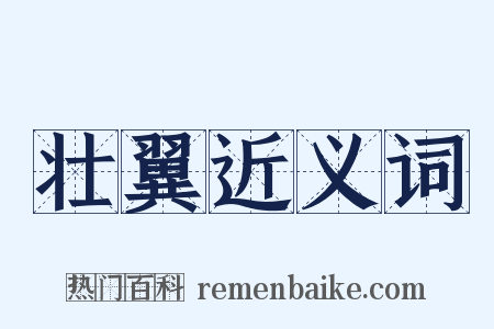 壮翼近义词是什么意思的图片